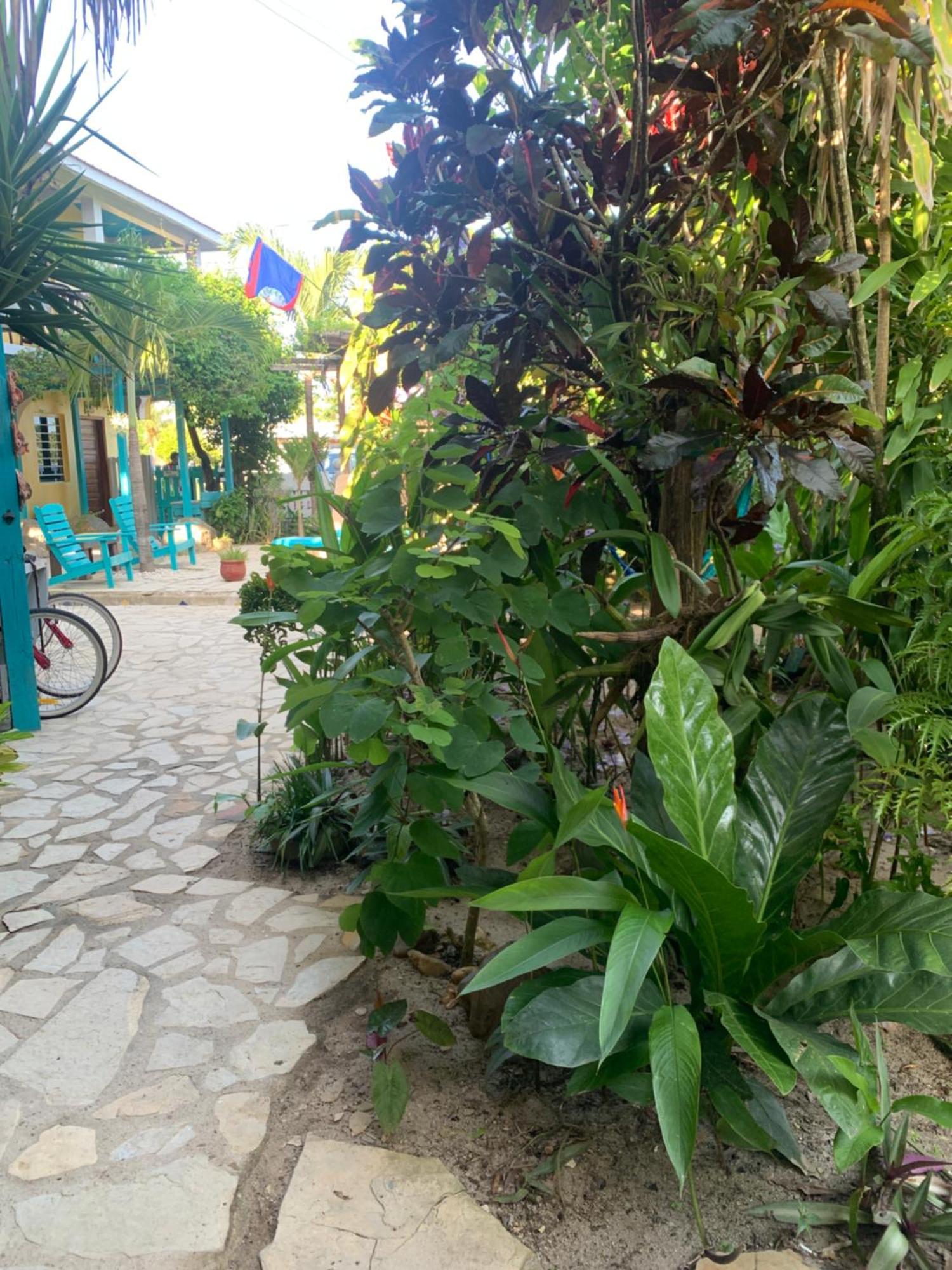 All Seasons Belize هوبكنز المظهر الخارجي الصورة